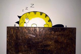 Katowice: Pierwsza na Śląsku Kocia Kawiarnia działa już trzy tygodnie! [ZDJĘCIA]