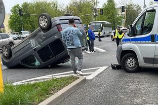 Dachowanie Celebryty Bilguun Ariunbaatar