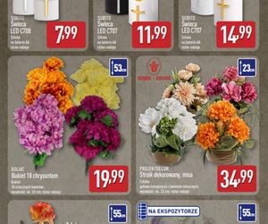 Aldi na Wszystkich Świętych