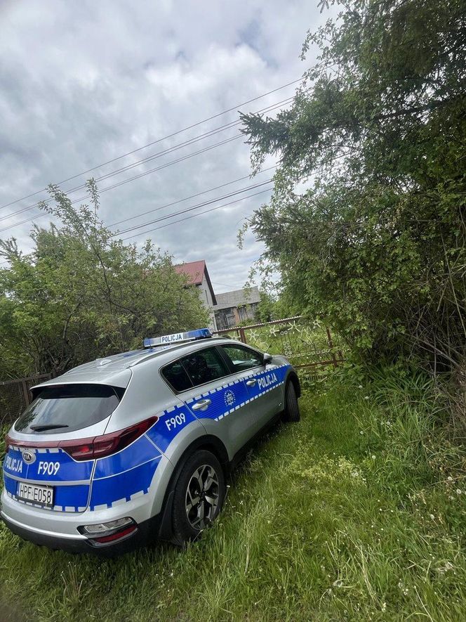 Dziewięć szczeniąt uratowanych. Wspólna akcja policji i schroniska 
