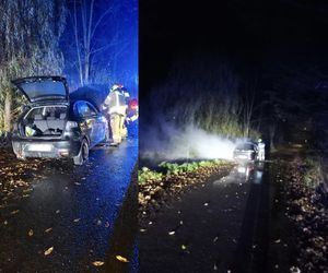 Pożar auta, obok mężczyzna z raną kłutą szyi! Co się stało pod Otmuchowem?