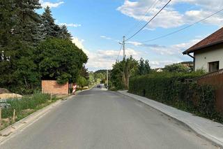 Kura wymknęła się lisowi