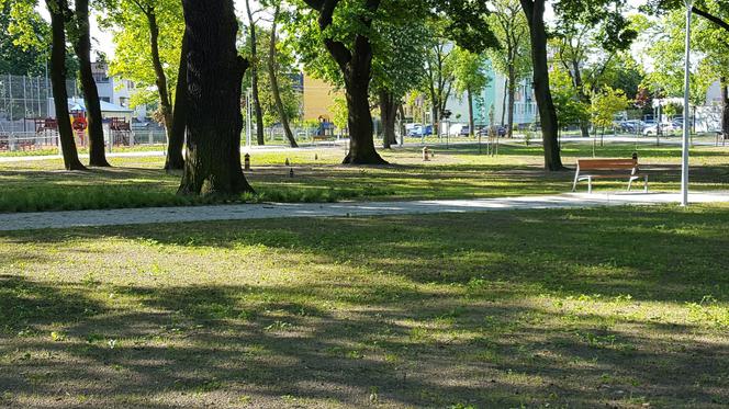 Park Jonstona gotowy, ale nadal zamknięty dla mieszkańców