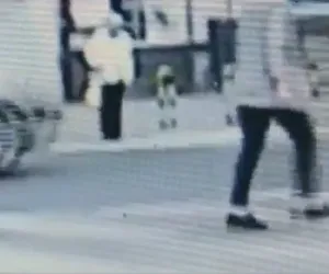  Kierowca nie przepuścił pieszego na psach - dostał 1500 złotych mandatu