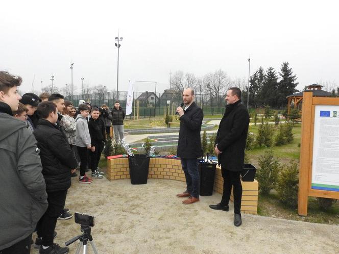 W Borowie w gminie Czempiń można pograć w minigolfa. Powstało pole do gry