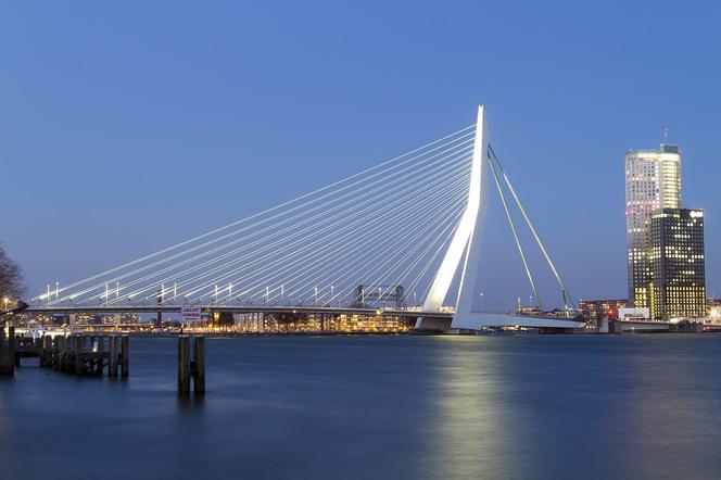 6. Rotterdam