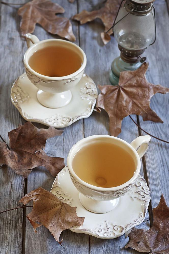 Herbata pośród liści