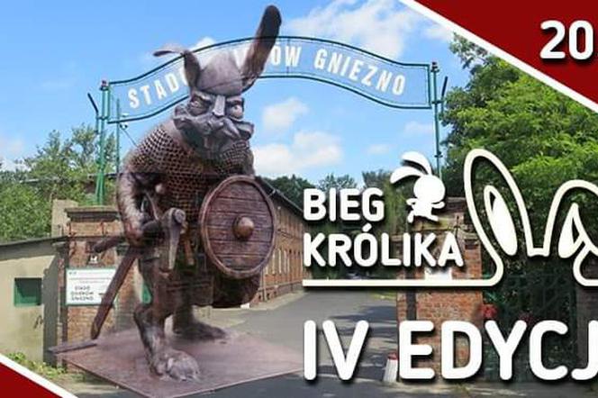Bieg Królika już 20 czerwca 