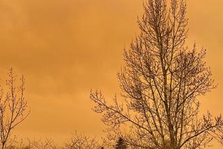 Pył saharyjski dotarł na Śląsk