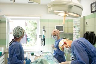 Operacja bociana Oreo w Przemyślu [GALERIA]