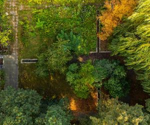 Kamienice Jerzego Wierzbickiego w Warszawie przy Al. Niepodległości