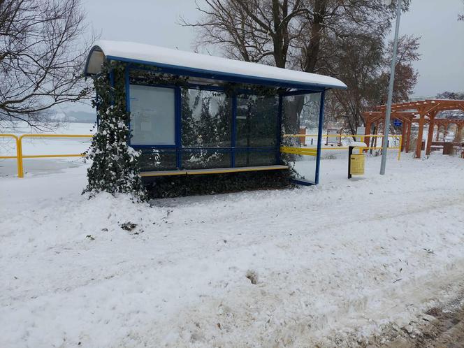 Starachowice zasypane śniegiem (03.12.2023.)