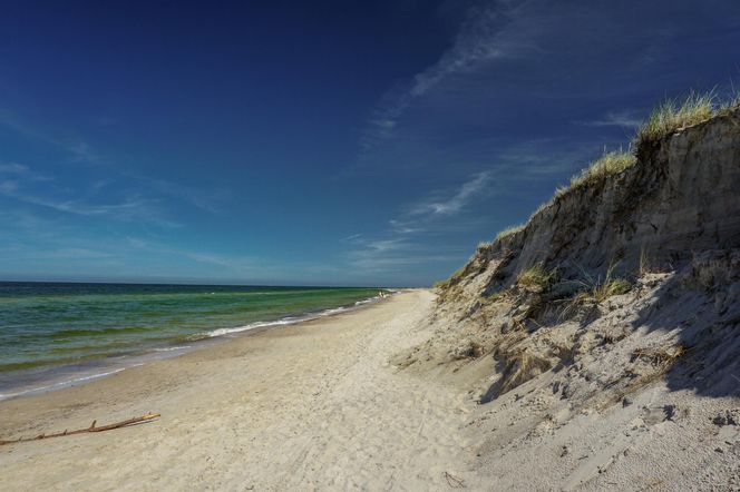 wydmy przy plaży w Słowińskim Parku Narodowym 