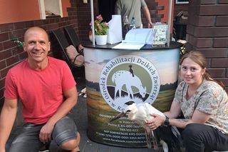 Mieszkańcy gminy Kuślin uratowali bociana