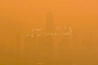 Shawn Mendes - What The Hell Are We Dying For