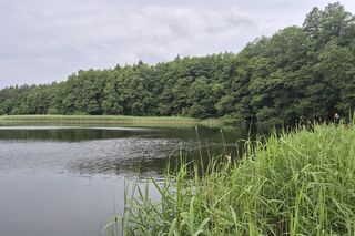 To jezioro pod Olsztynem przyciąga tajemniczą aurą. Trzeba zachować tam absolutną ciszę