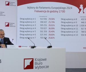 Wyniki Wyborów Europejskich na Śląsku. Są wyniki exit poll