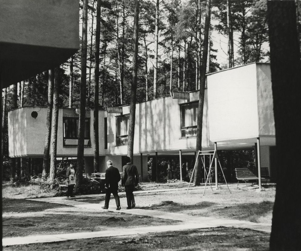 Czarno-białe zdjęcie prezentuje modernistyczne domki na słupach autorstwa Stanisława Niemczyka, wkomponowane w sosnowy las w Paprocanach. Widać dwie osoby idące po ścieżce między budynkami i drzewami, co podkreśla integrację architektury z naturą. O tych unikatowych domach przeczytasz na Architektura Murator Plus.