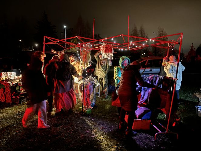 Noc Duchów w Olsztynie. Festiwal kultury słowiańskiej przyciągnął tłumy. Zobacz zdjęcia