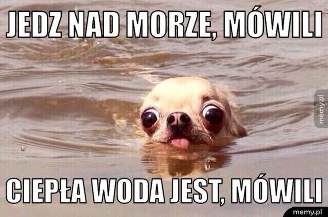 Najlepsze memy o wakacjach nad polskim morzem