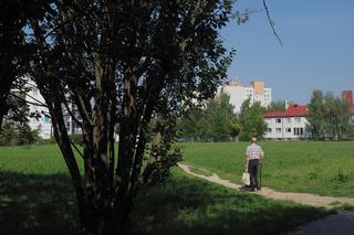 To miejsce za pół roku będzie wyglądało inaczej. Miasto przygotowuje Park Centralny na Felinie