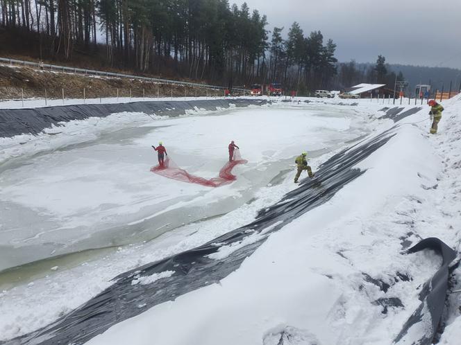 REGION: Sarenka i koziołek utknęły na lodzie. Zwierzęta ewakuowali strażacy