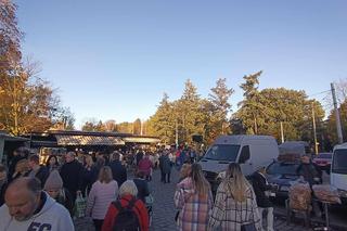 Tłumy na grobach we Wrocławiu. Zobaczcie zdjęcia z cmentarzy [GALERIA]