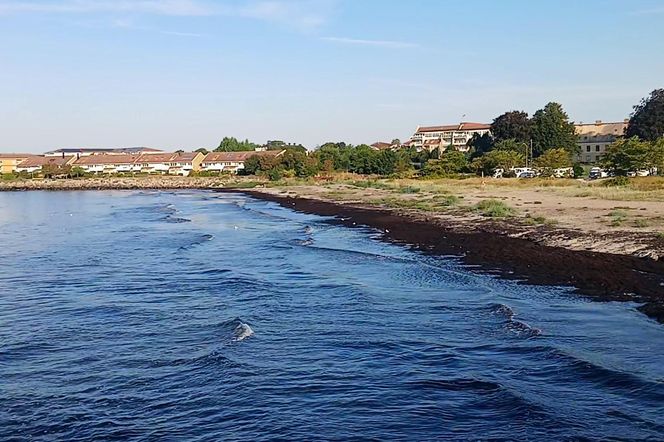 Ystad - malownicze szwedzkie miasteczko nad Bałtykiem