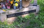 Pomnik Elvisa Presleya w Krakowie