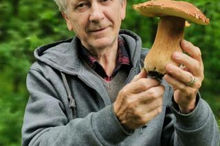 Grzyby w Świętokrzyskiem