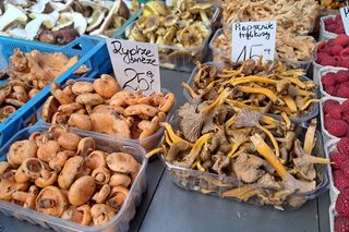 Ceny grzybów na Nowym i Starym Kleparzu w Krakowie