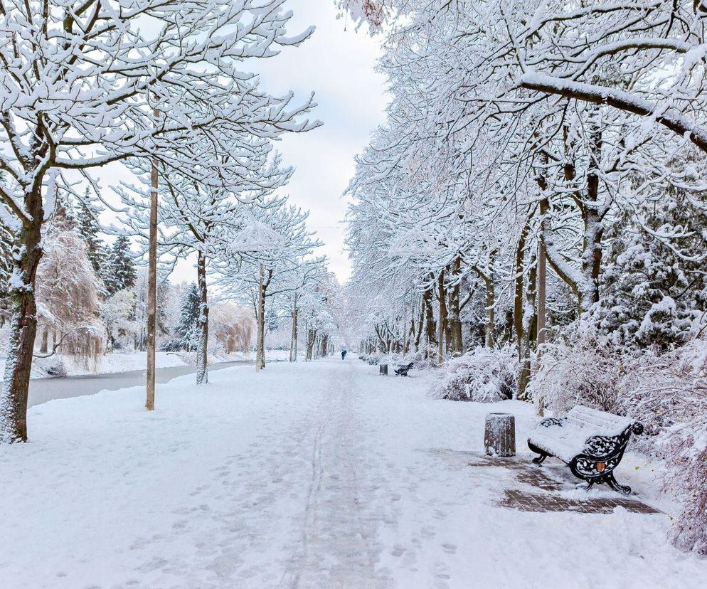 Pierwszy śnieg w Polsce. Znamy datę rozpoczęcia zimy