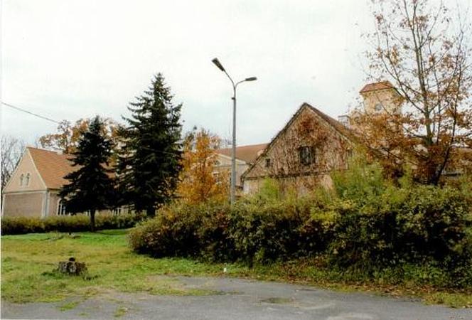 Chcą uratować zabytkowy pałac w powiecie ostródzkim. Potrzebna jest gigantyczna suma pieniędzy [ZDJĘCIA]