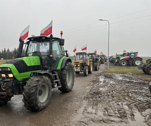 protest rolników 