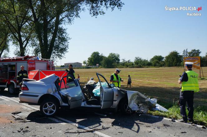 Śmiertelny wypadek na DW 416. Kierowca zginął na miejscu [ZDJĘCIA]