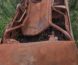 Spalony wrak samochodu zawisł na drzewie. Niecodzienna interwencja w Radostowie