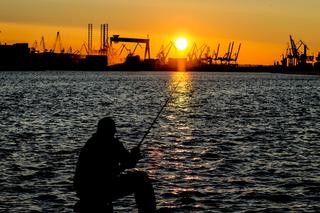 Kapitanat Portu Gdynia [ZDJĘCIE]