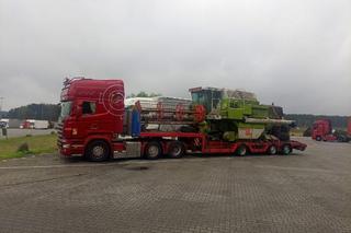 Kotki z Francji do Polski