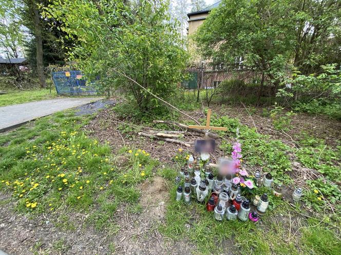 Miesiąc po wichurze, odwiedziliśmy miejsce tragedii w Rabce-Zdroju. Oto, co zobaczyliśmy