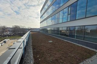 Zielony dach szpitala w Lublinie