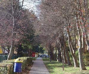 Nowa pora roku już jest w mieście. Lublin przybrał już jesienne barwy. Zobaczcie!