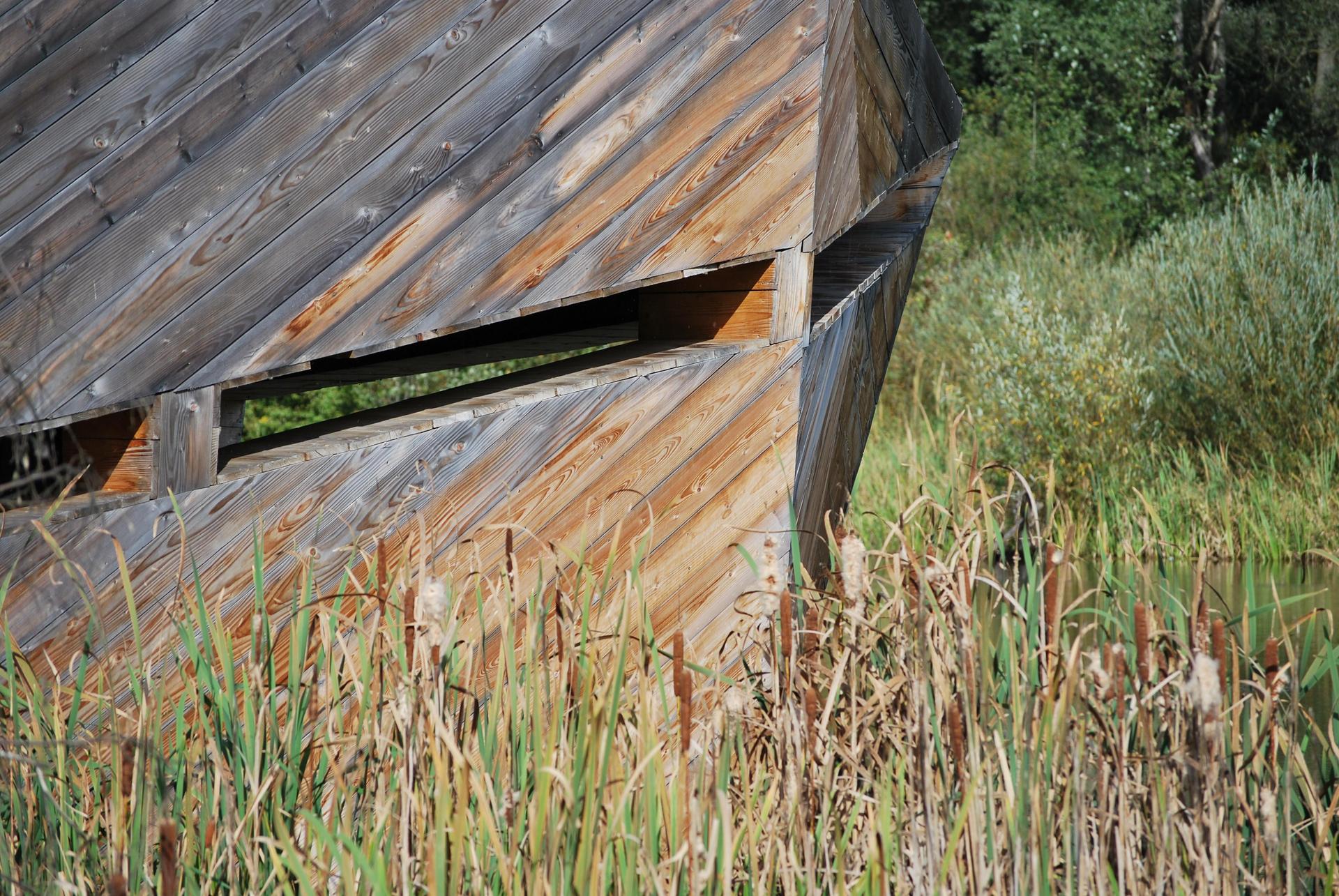 Enklawa Przyrodnicza Bobrowiska w Starym Sączu, proj. 55 Architekci