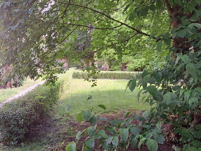 Ogród przy pałacu Czapskich w Krakowie