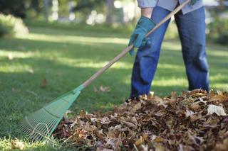 Jak zadbać o trawnik jesienią? Nawożenie i wapnowanie trawnika przed zimą