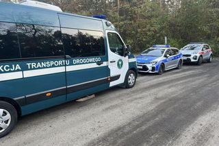 Śmiertelny wypadek Dk11