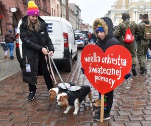 WOŚP 2025 w Toruniu. 33. Finał Wielkiej Orkiestry Świątecznej Pomocy - zdjęcia mieszkańców i gości ze starówki