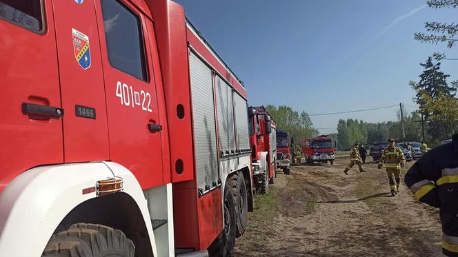 Ogromny pożar pod Grójcem! Spłonęło 80 hektarów lasu