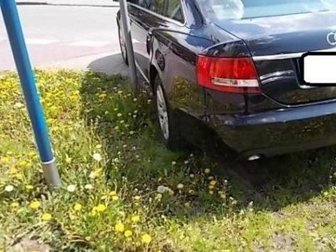 Samochody parkujące na trawnikach w Warszawie [ZDJĘCIA]