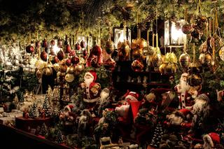 Targ bożonarodzeniowy w Tarnowie. Degustacja dań wigilijnych, konkursy z nagrodami i choinki od Lasów Państwowych