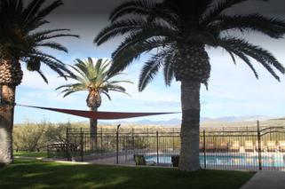 Zenek zapłaci 40 tys. dolarów za odwyk syna